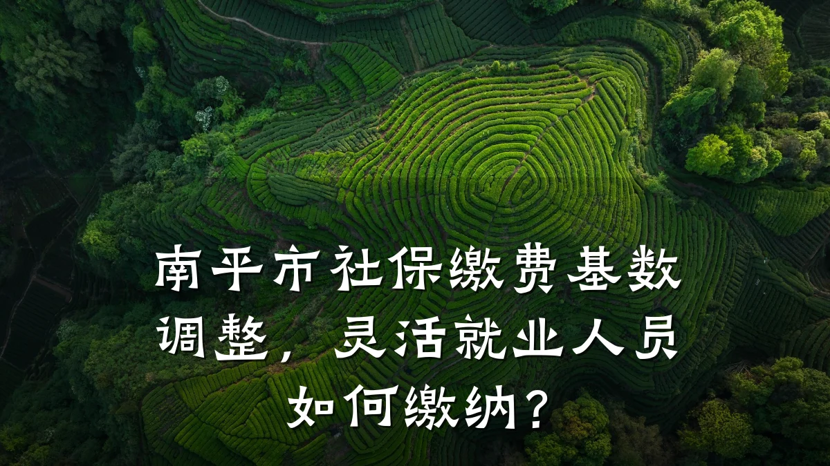 南平市社保缴费基数调整,灵活就业人员如何缴纳?