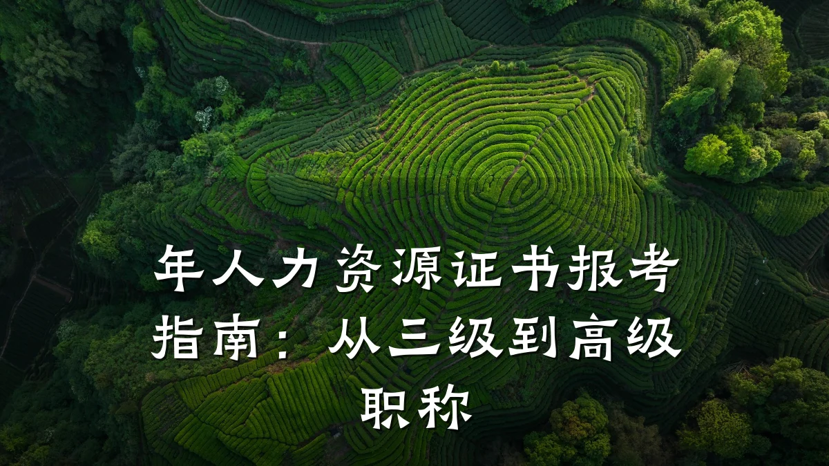 年人力资源证书报考指南:从三级到高级职称