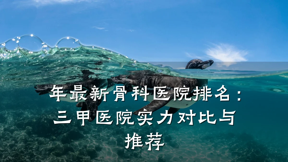 年最新骨科医院排名：三甲医院实力对比与推荐