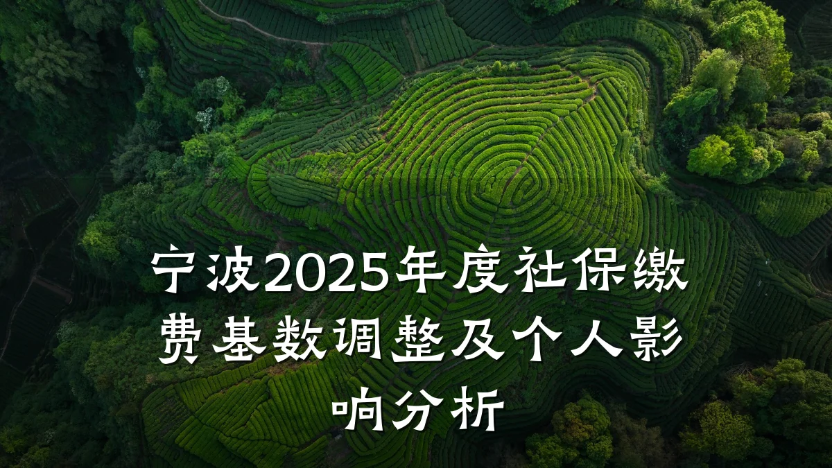 宁波2025年度社保缴费基数调整及个人影响分析