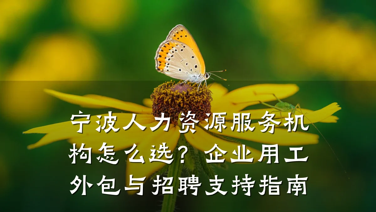 宁波人力资源服务机构怎么选？企业用工外包与招聘支持指南