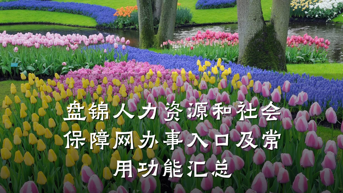 盘锦人力资源和社会保障网办事入口及常用功能汇总