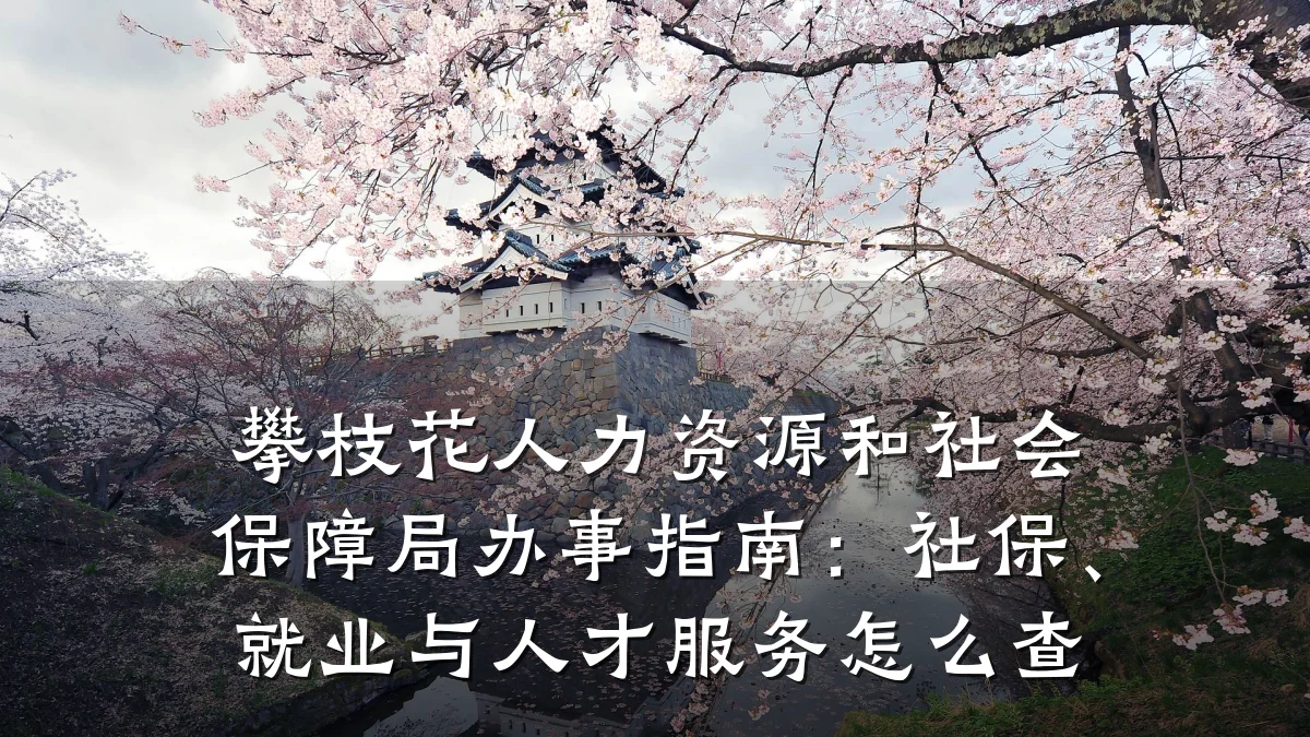 攀枝花人力资源和社会保障局办事指南:社保、就业与人才服务怎么查