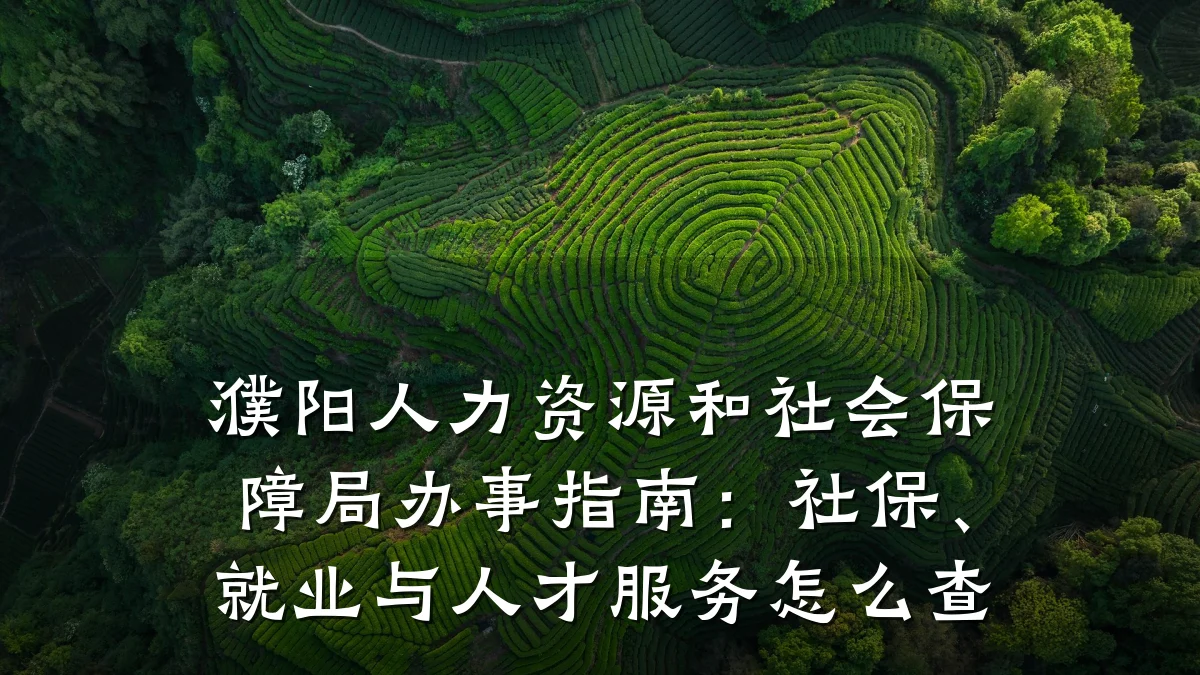 濮阳人力资源和社会保障局办事指南:社保、就业与人才服务怎么查