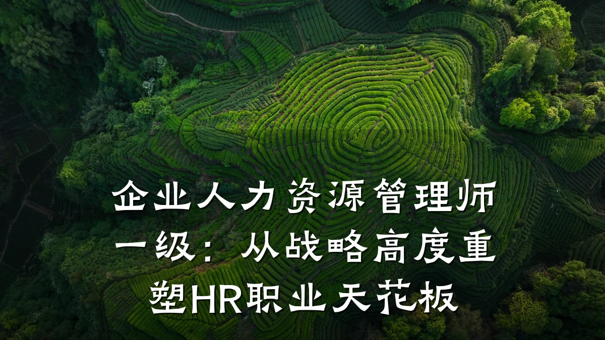 企业人力资源管理师一级：从战略高度重塑HR职业天花板