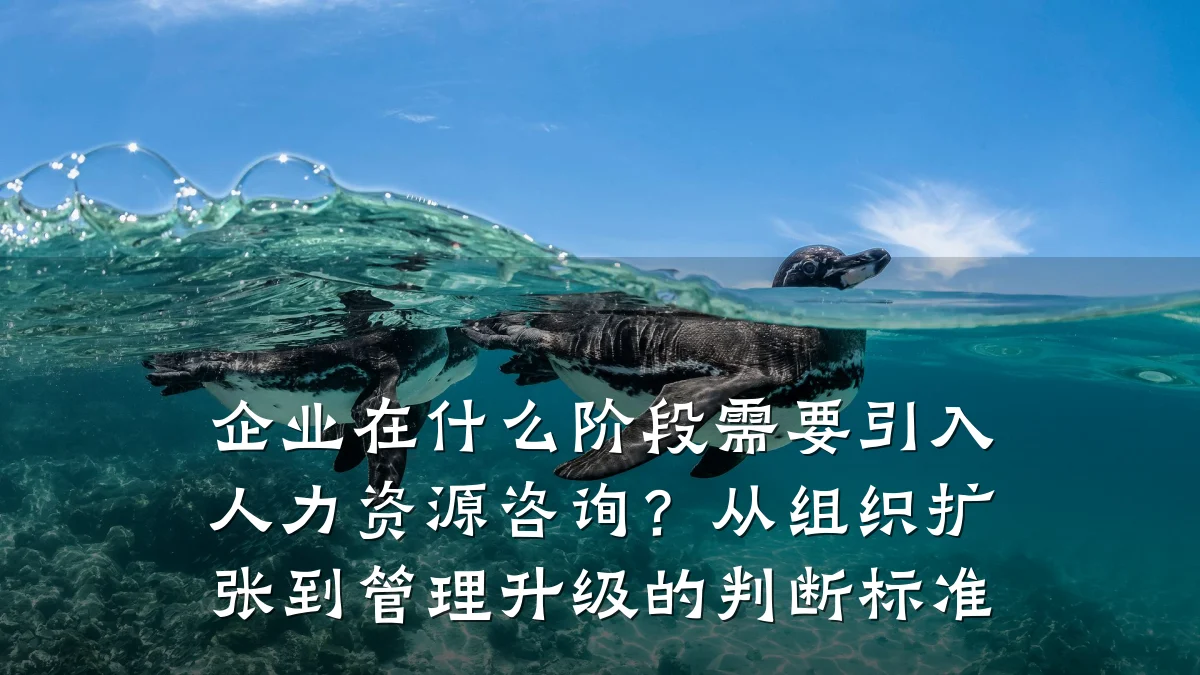 企业在什么阶段需要引入人力资源咨询?从组织扩张到管理升级的判断标准