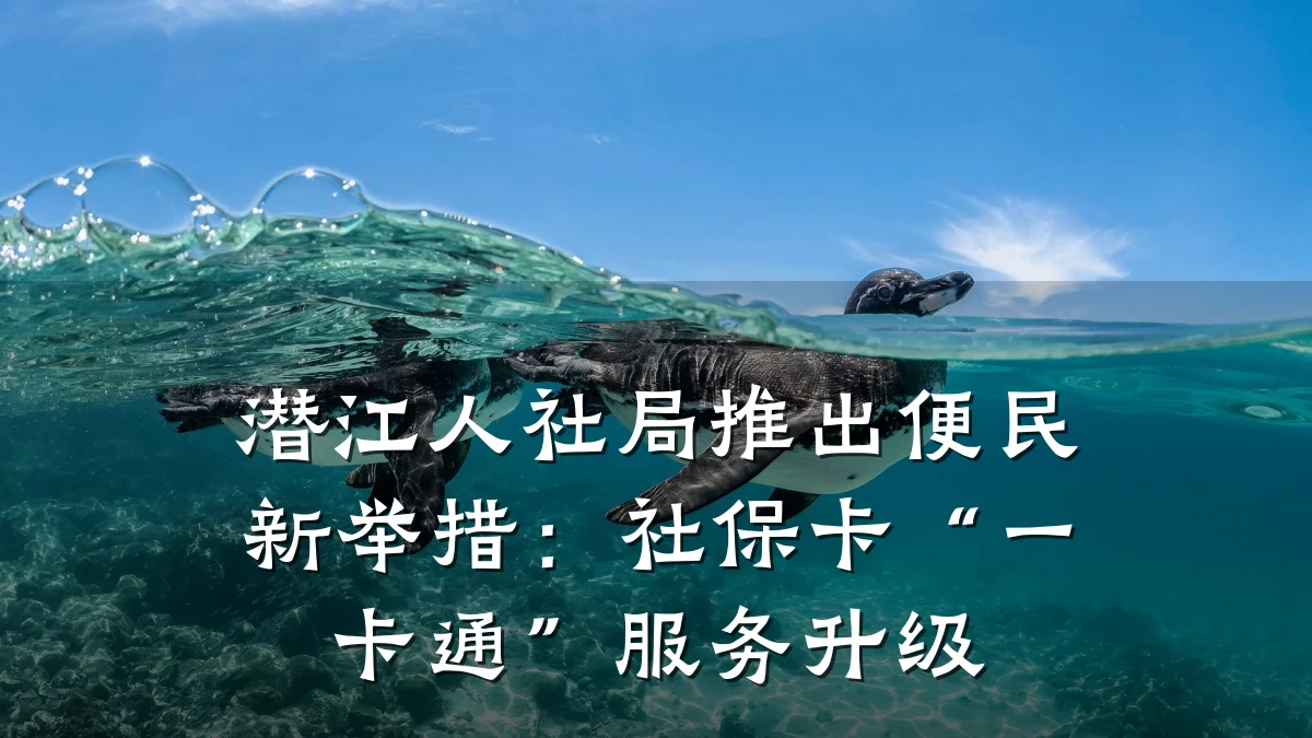潜江人社局推出便民新举措:社保卡“一卡通”服务升级