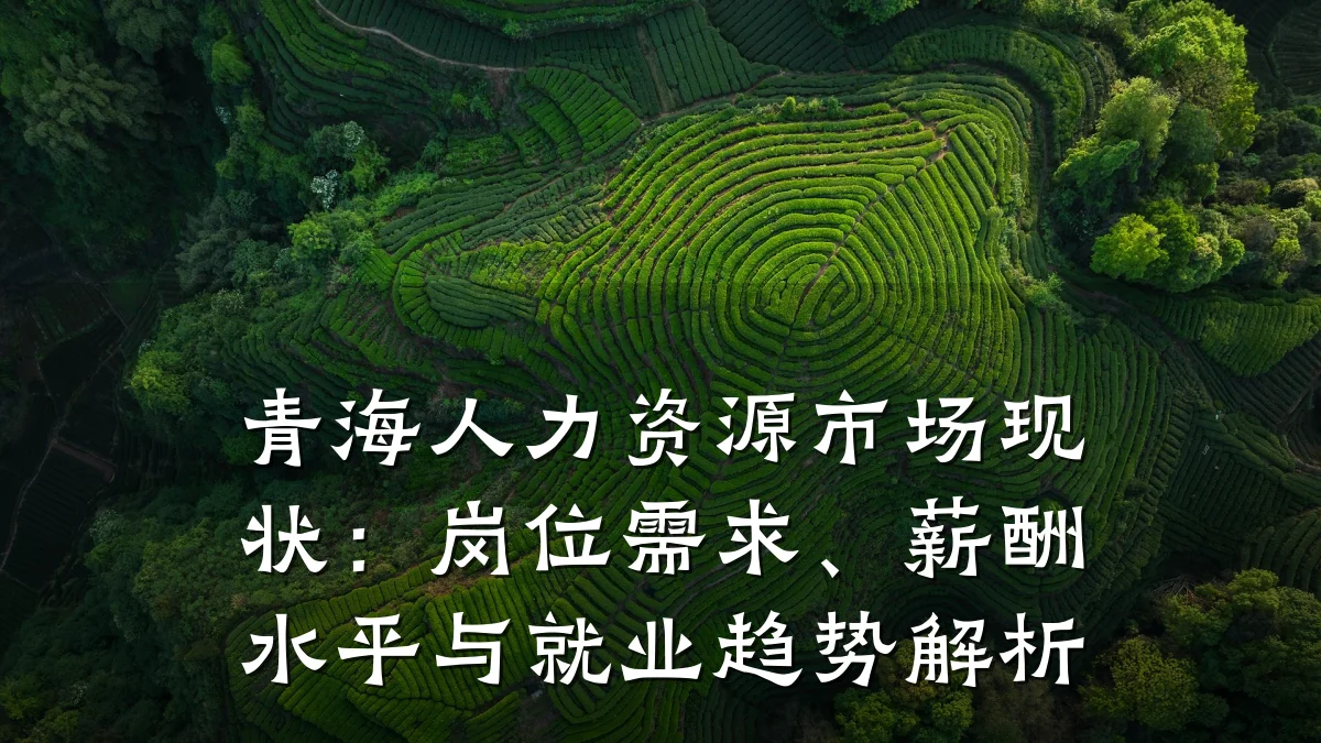 青海人力资源市场现状:岗位需求、薪酬水平与就业趋势解析
