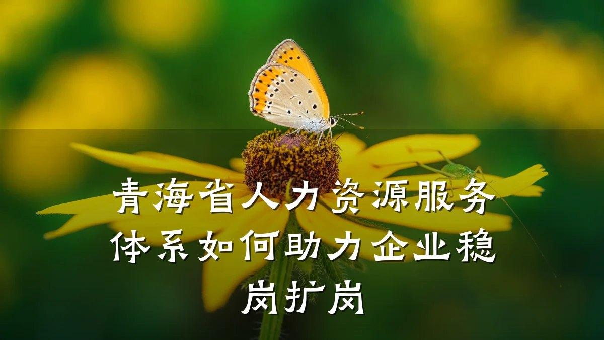 青海省人力资源服务体系如何助力企业稳岗扩岗