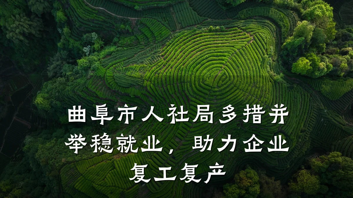 曲阜市人社局多措并举稳就业,助力企业复工复产