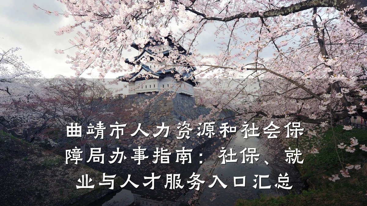 曲靖市人力资源和社会保障局办事指南:社保、就业与人才服务入口汇总