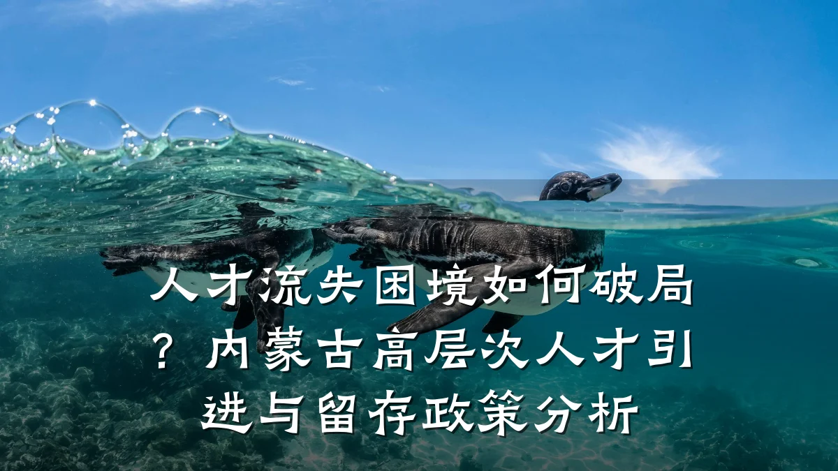 人才流失困境如何破局?内蒙古高层次人才引进与留存政策分析