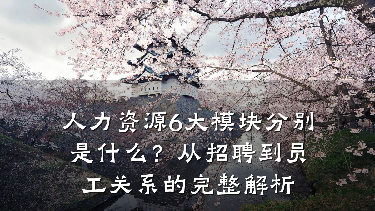 人力资源6大模块分别是什么?从招聘到员工关系的完整解析