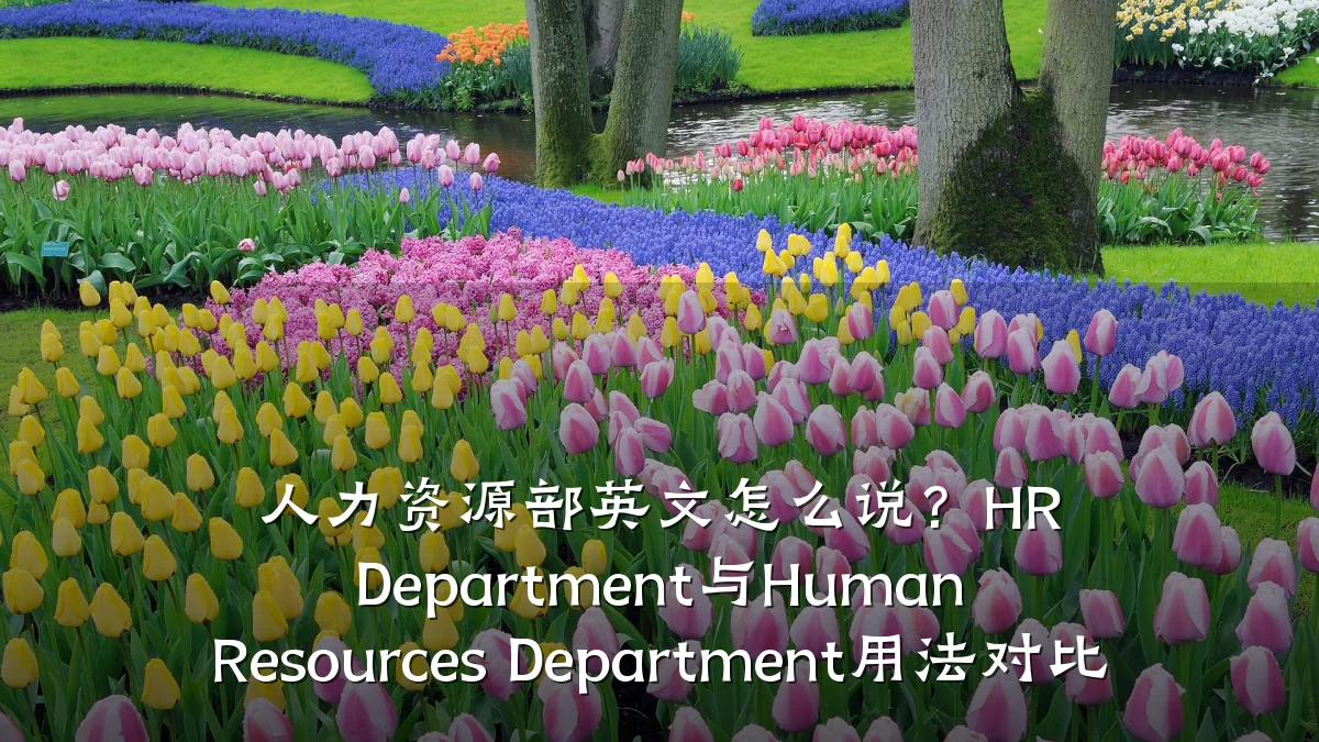 人力资源部英文怎么说?HR Department与Human Resources Department用法对比