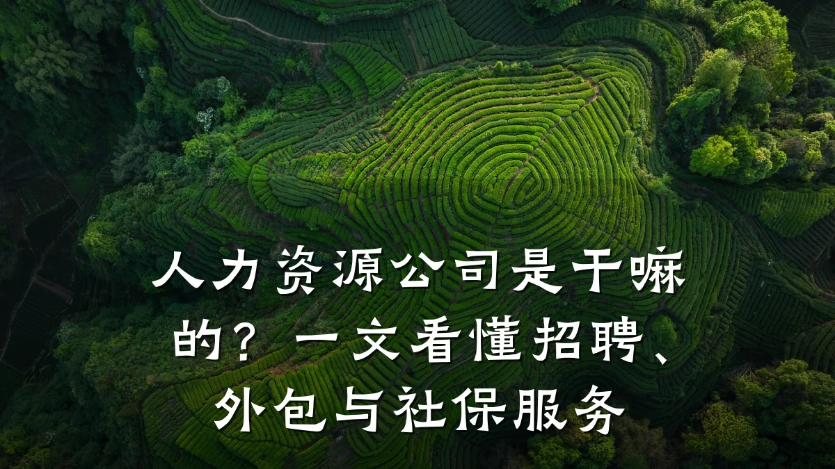 人力资源公司是干嘛的?一文看懂招聘、外包与社保服务