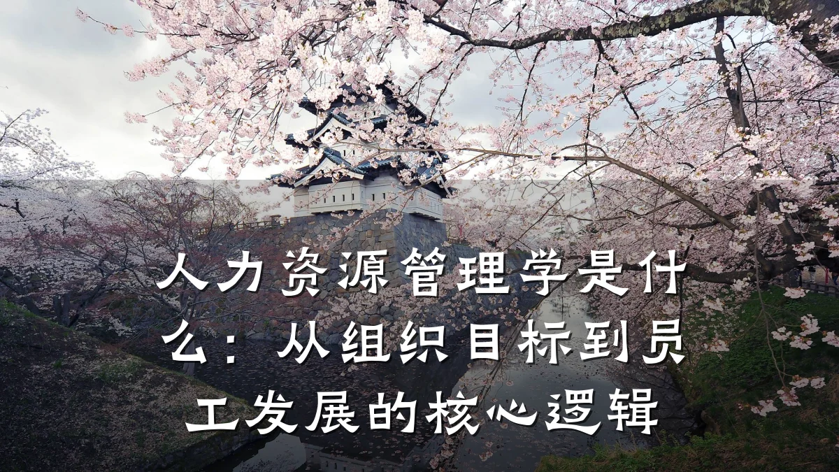 人力资源管理学是什么:从组织目标到员工发展的核心逻辑