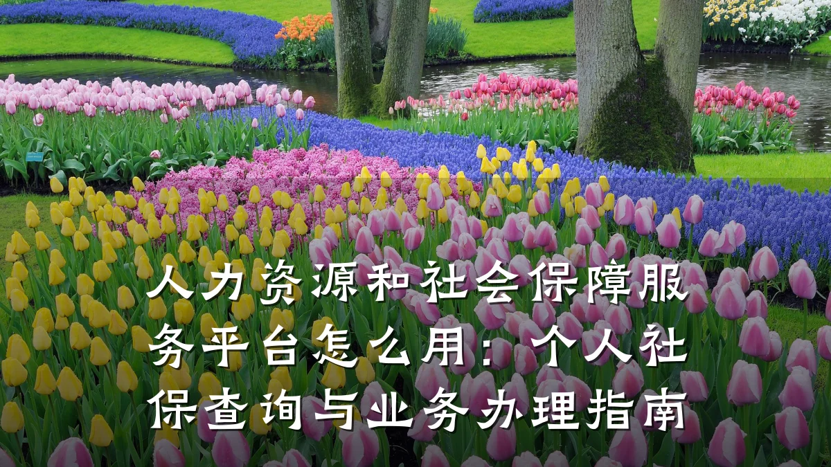 人力资源和社会保障服务平台怎么用:个人社保查询与业务办理指南