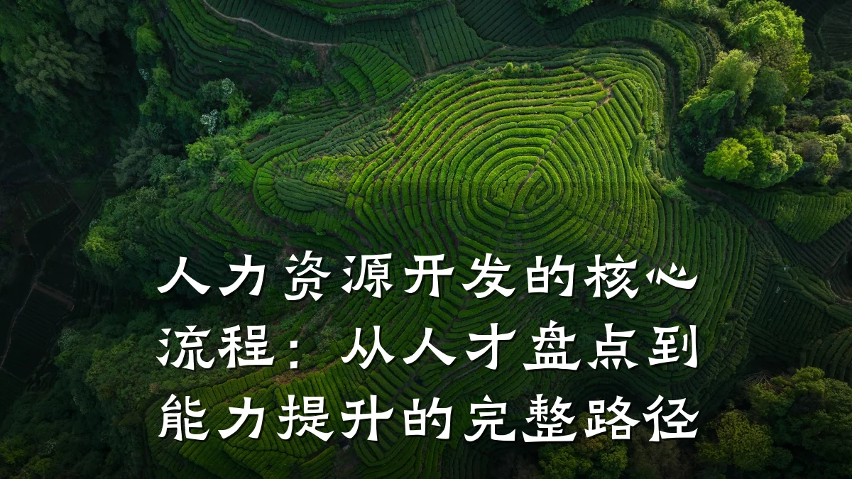 人力资源开发的核心流程:从人才盘点到能力提升的完整路径