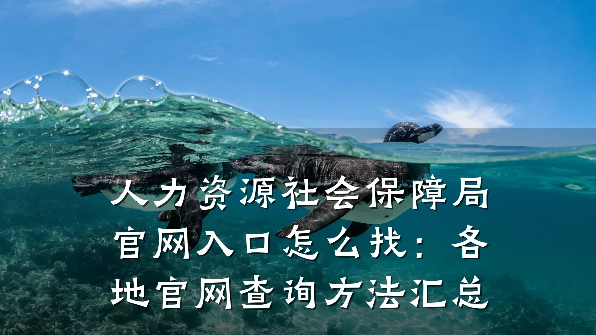 人力资源社会保障局官网入口怎么找:各地官网查询方法汇总