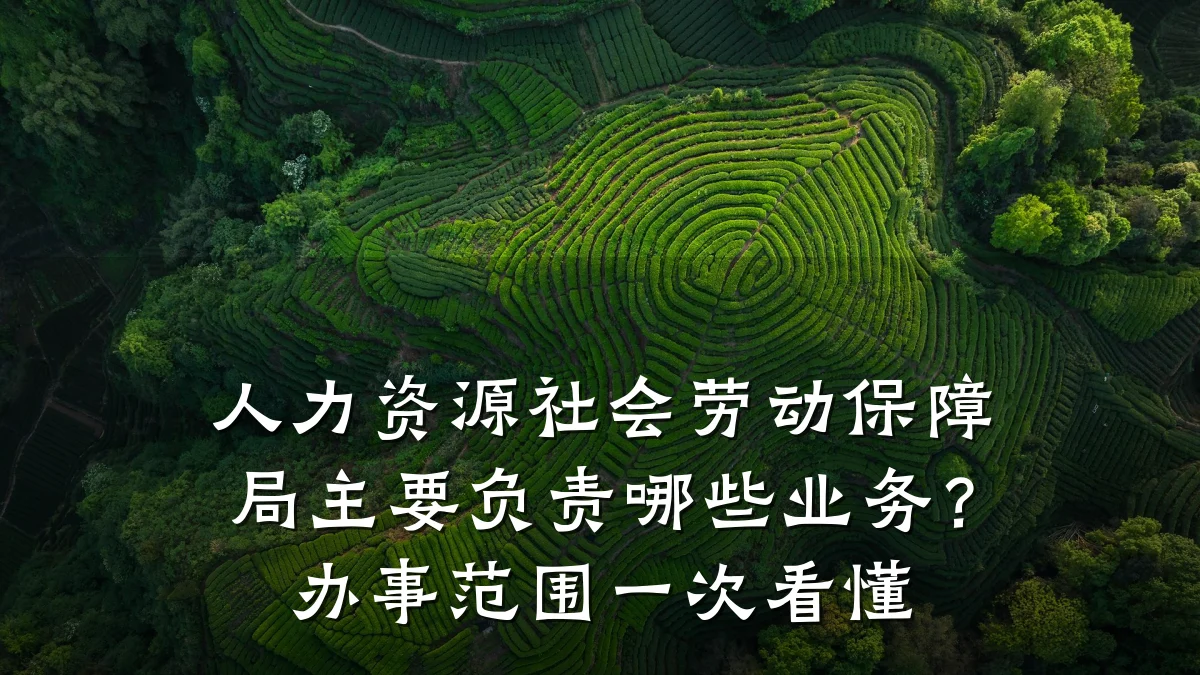 人力资源社会劳动保障局主要负责哪些业务?办事范围一次看懂