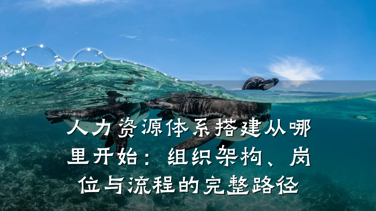 人力资源体系搭建从哪里开始:组织架构、岗位与流程的完整路径