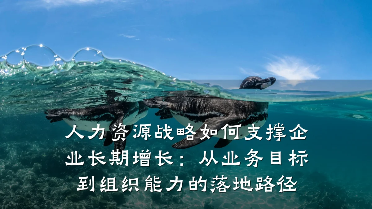 人力资源战略如何支撑企业长期增长:从业务目标到组织能力的落地路径