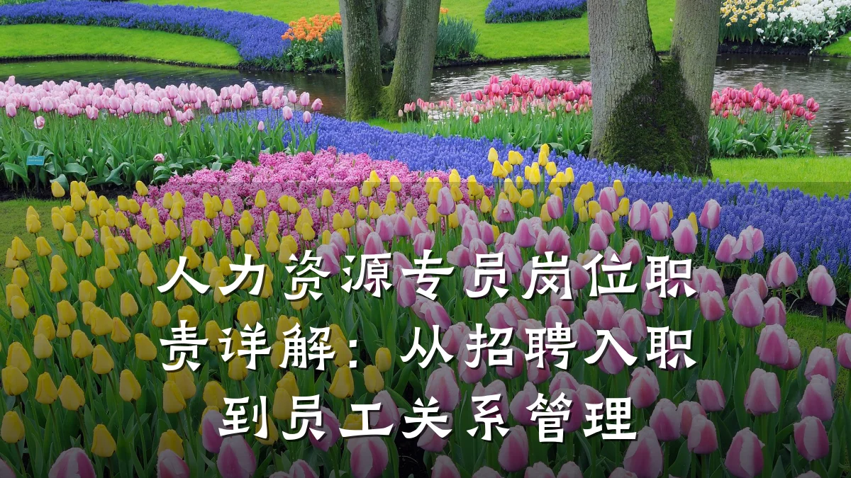 人力资源专员岗位职责详解:从招聘入职到员工关系管理