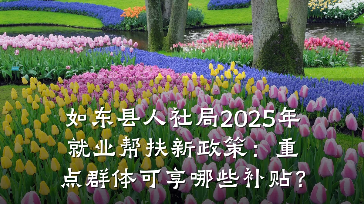 如东县人社局2025年就业帮扶新政策：重点群体可享哪些补贴？