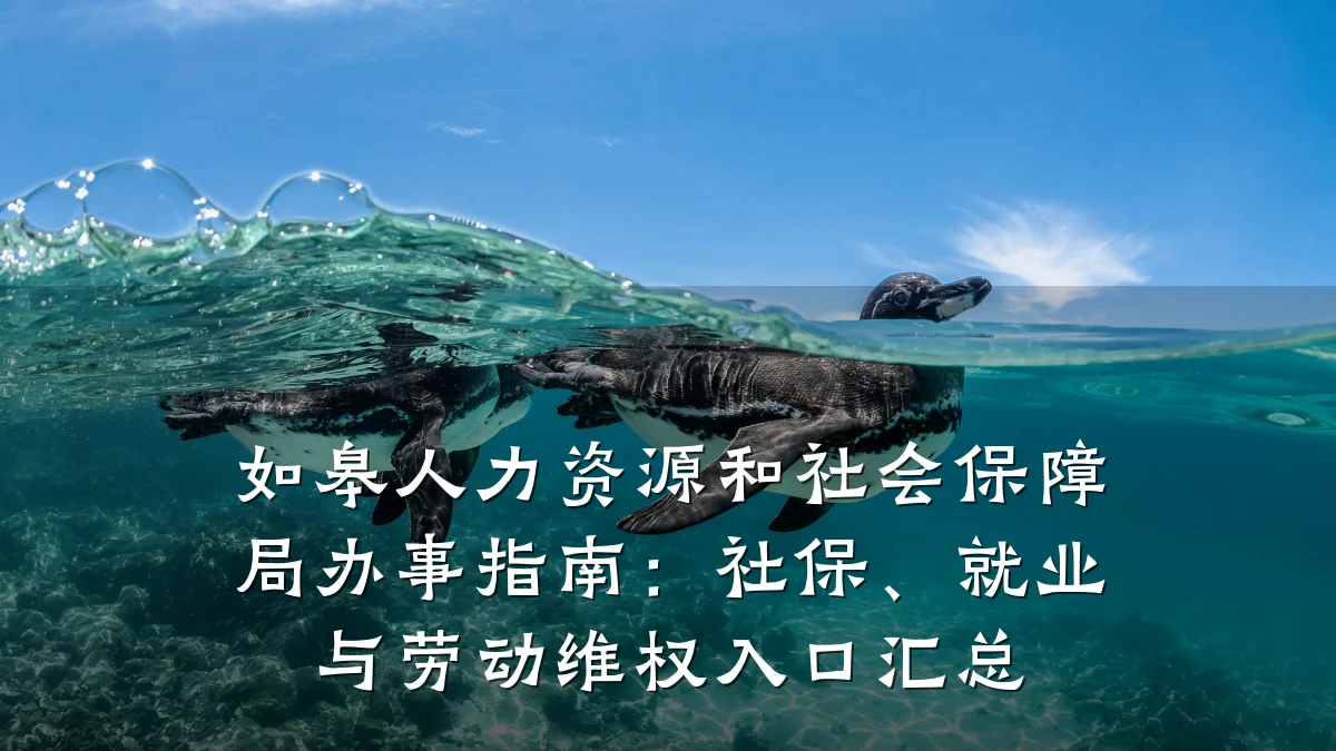 如皋人力资源和社会保障局办事指南:社保、就业与劳动维权入口汇总