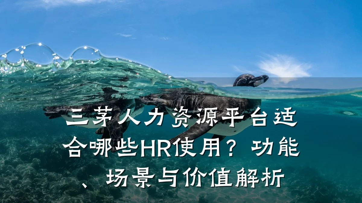 三茅人力资源平台适合哪些HR使用?功能、场景与价值解析