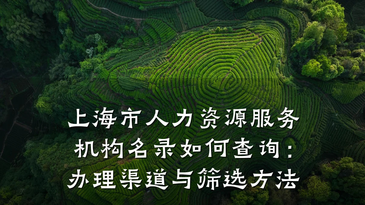上海市人力资源服务机构名录如何查询：办理渠道与筛选方法