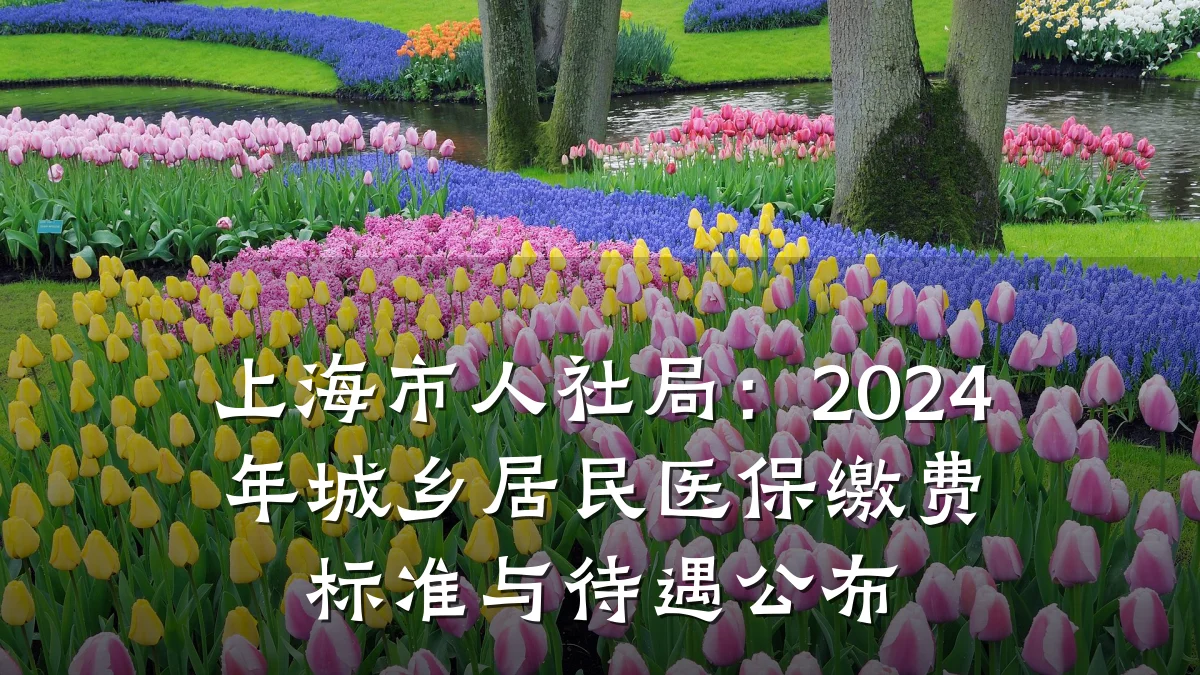 上海市人社局:2024年城乡居民医保缴费标准与待遇公布