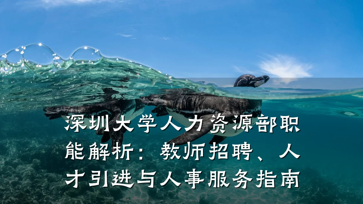 深圳大学人力资源部职能解析:教师招聘、人才引进与人事服务指南