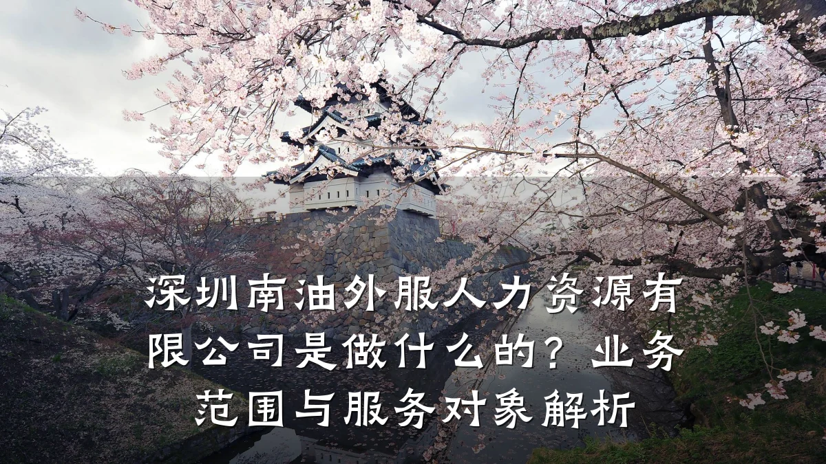 深圳南油外服人力资源有限公司是做什么的?业务范围与服务对象解析