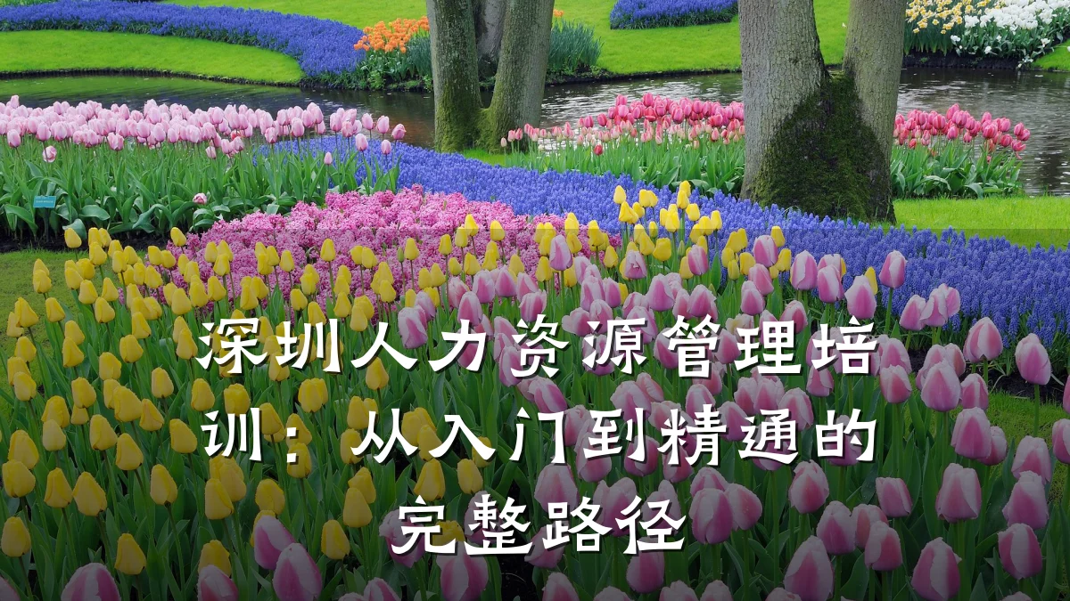深圳人力资源管理培训：从入门到精通的完整路径