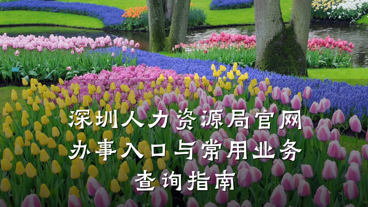 深圳人力资源局官网办事入口与常用业务查询指南