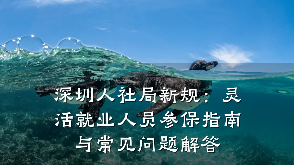 深圳人社局新规：灵活就业人员参保指南与常见问题解答