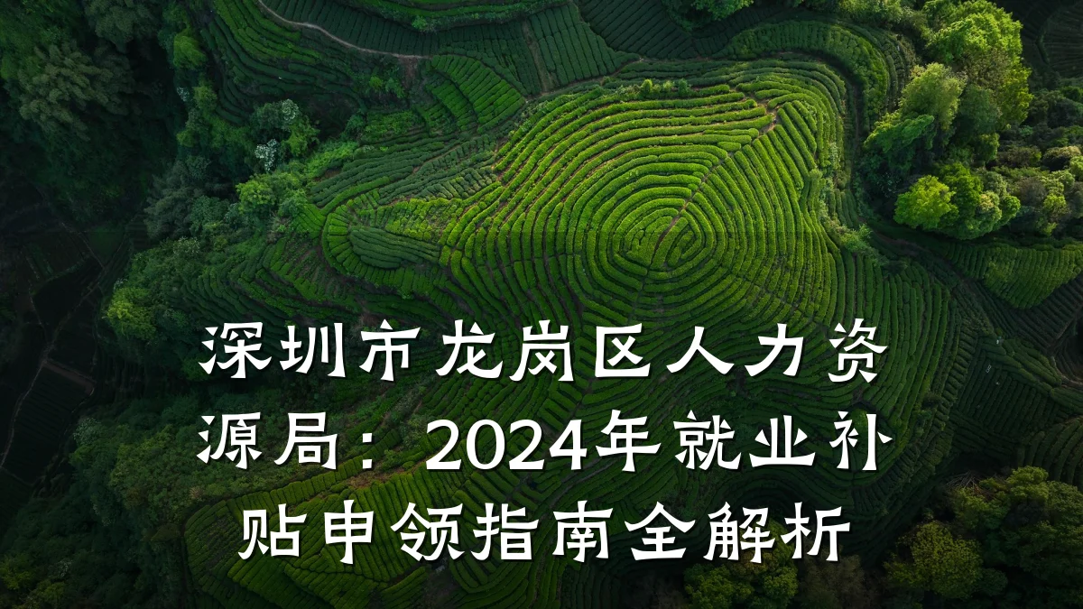 深圳市龙岗区人力资源局:2024年就业补贴申领指南全解析