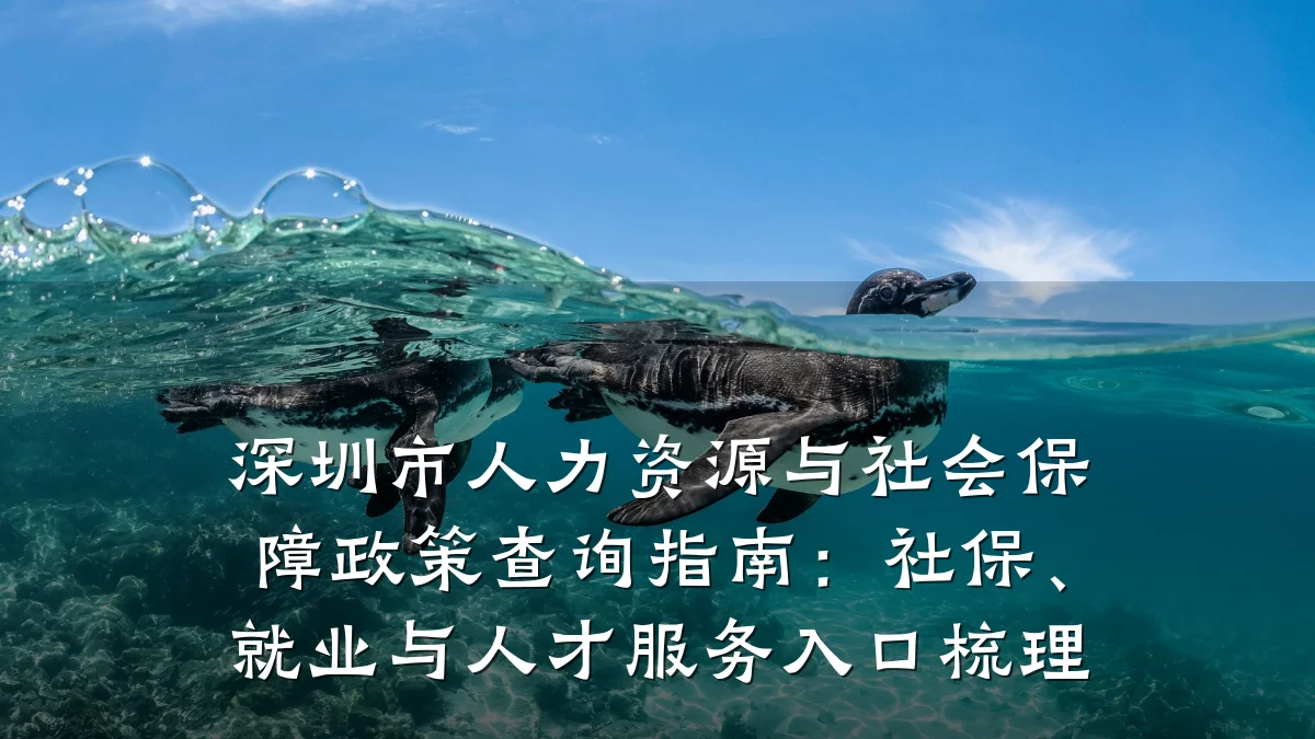 深圳市人力资源与社会保障政策查询指南：社保、就业与人才服务入口梳理
