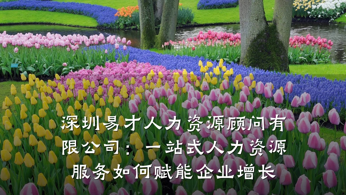 深圳易才人力资源顾问有限公司:一站式人力资源服务如何赋能企业增长