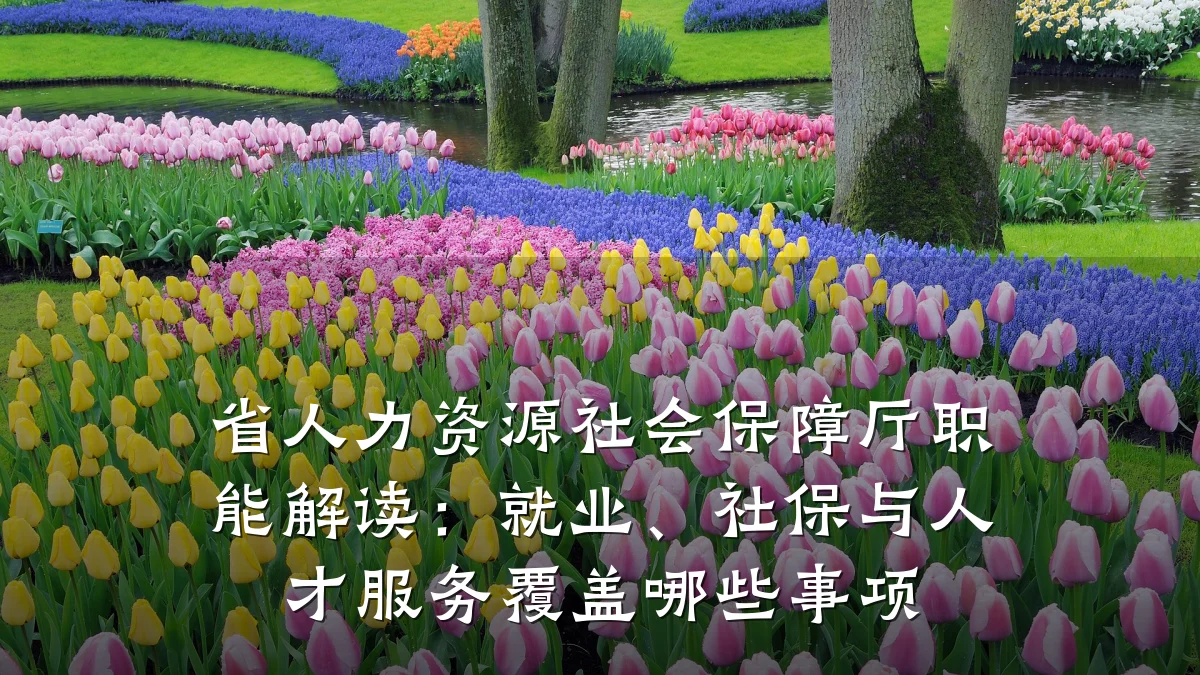 省人力资源社会保障厅职能解读:就业、社保与人才服务覆盖哪些事项
