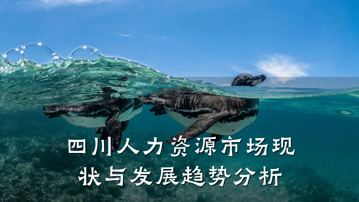 四川人力资源市场现状与发展趋势分析