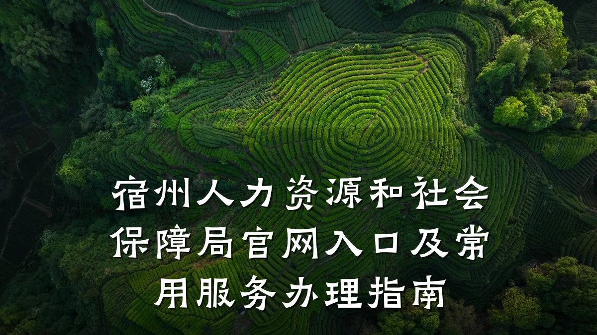宿州人力资源和社会保障局官网入口及常用服务办理指南