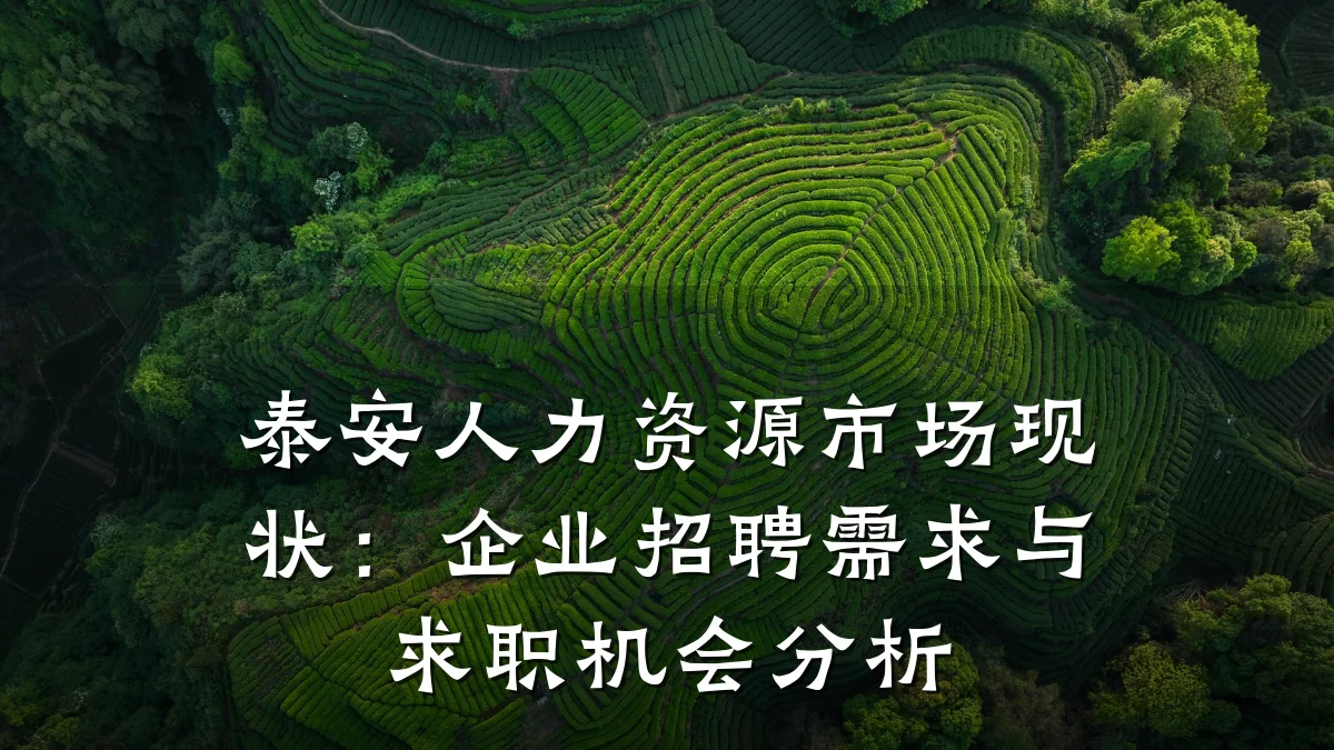 泰安人力资源市场现状:企业招聘需求与求职机会分析