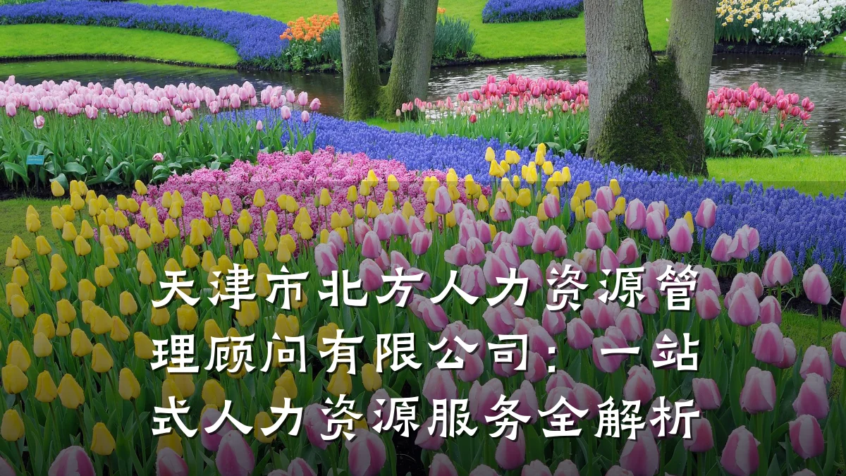 天津市北方人力资源管理顾问有限公司:一站式人力资源服务全解析