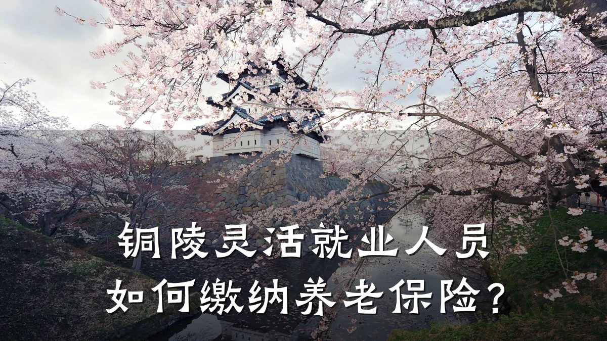 铜陵灵活就业人员如何缴纳养老保险?