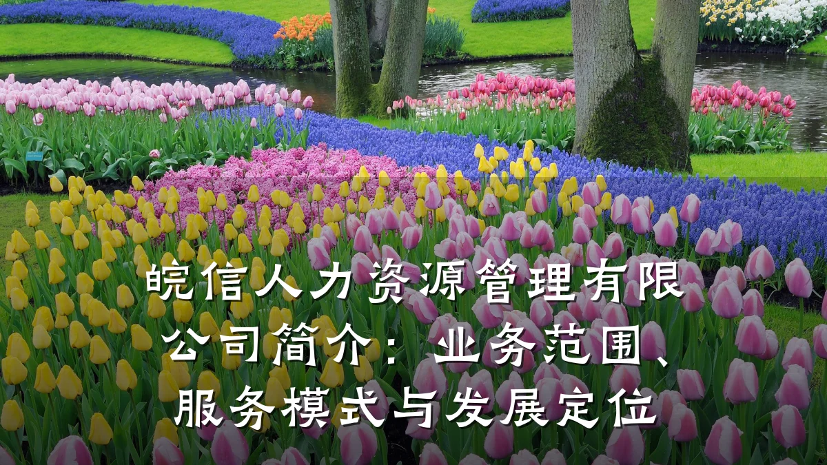 皖信人力资源管理有限公司简介：业务范围、服务模式与发展定位