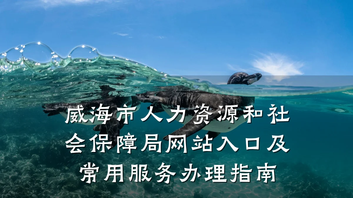 威海市人力资源和社会保障局网站入口及常用服务办理指南