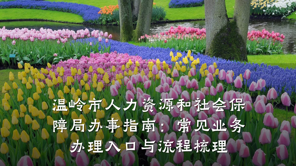 温岭市人力资源和社会保障局办事指南:常见业务办理入口与流程梳理