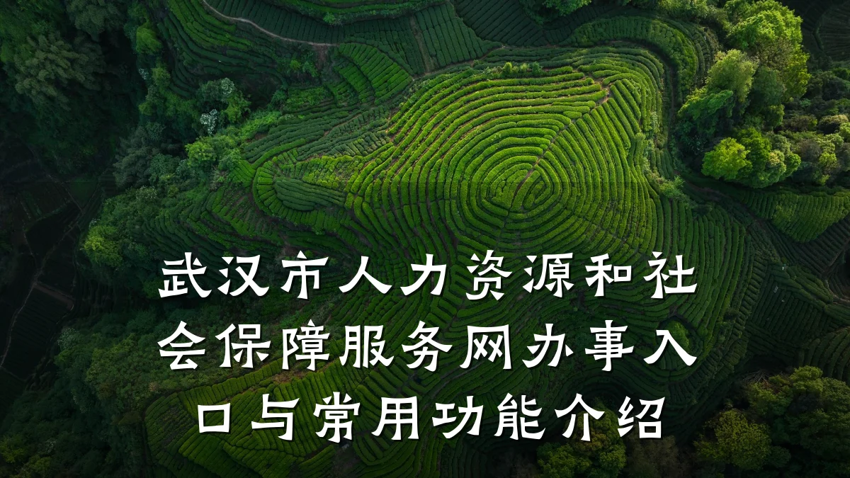 武汉市人力资源和社会保障服务网办事入口与常用功能介绍